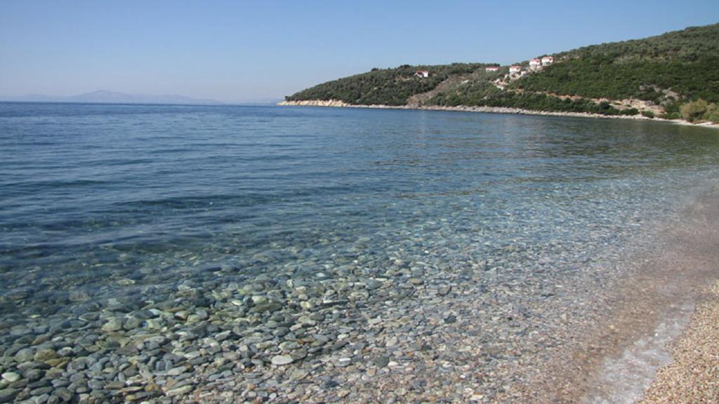 Iro Family Pelion 公寓